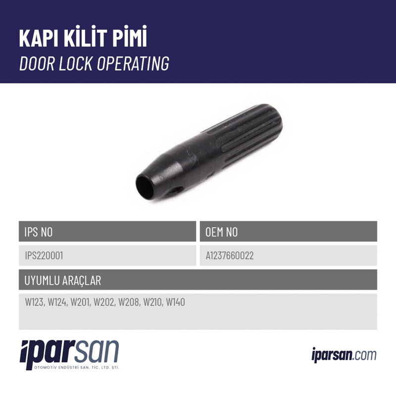 A1237660022-IPS220001-kapi-kilit-pimi